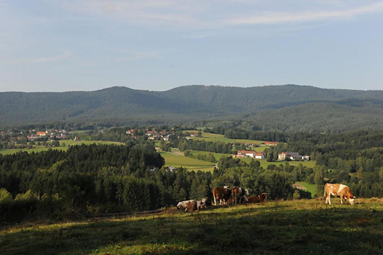 Exenbacher Hof - Pension Арнбрук Екстериор снимка